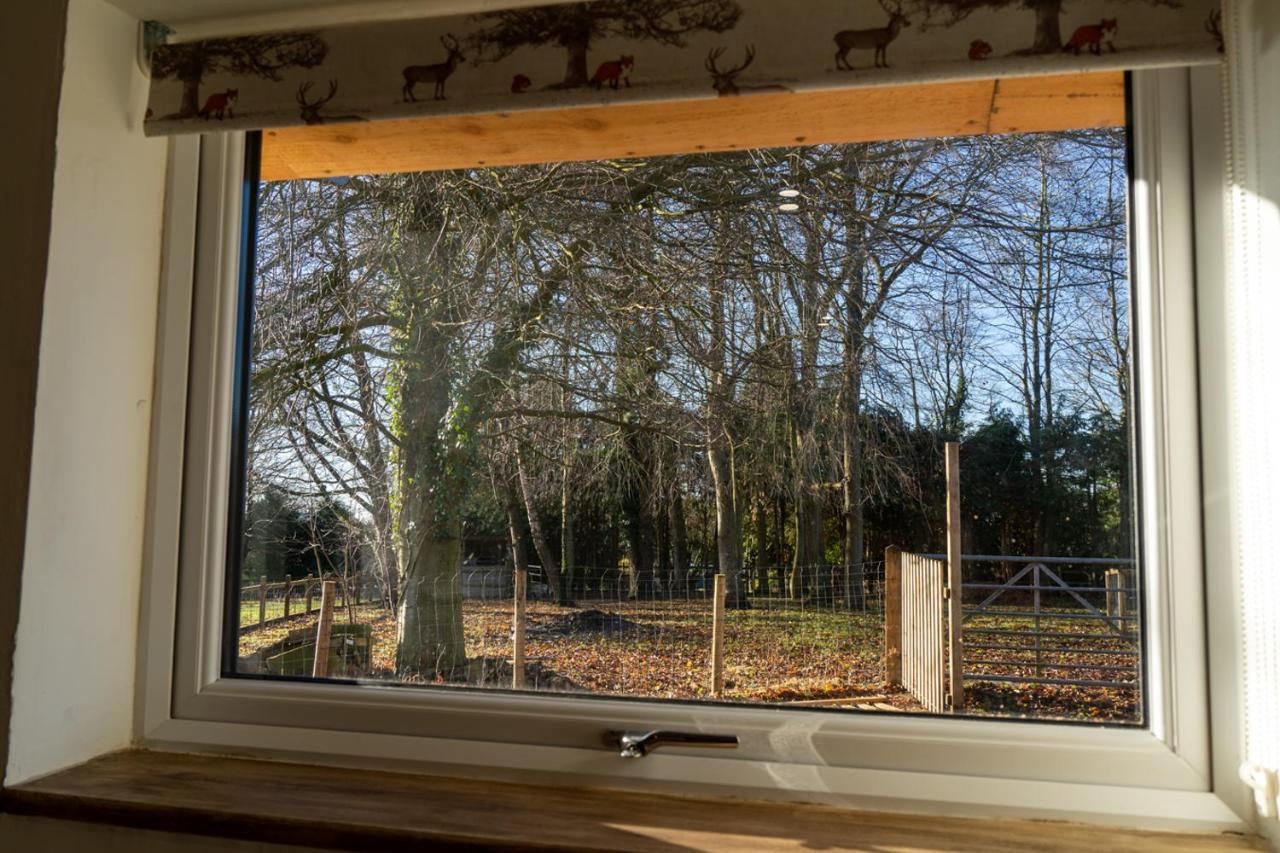 Rose Hideaway - Forest Of Dean Cosy Cabin Retreat Yorkley 外观 照片